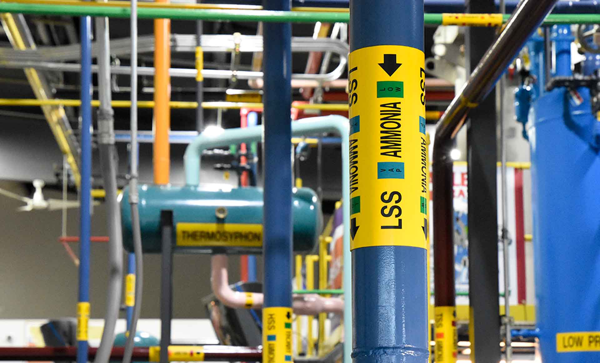 Home Page Ammonia Pipe